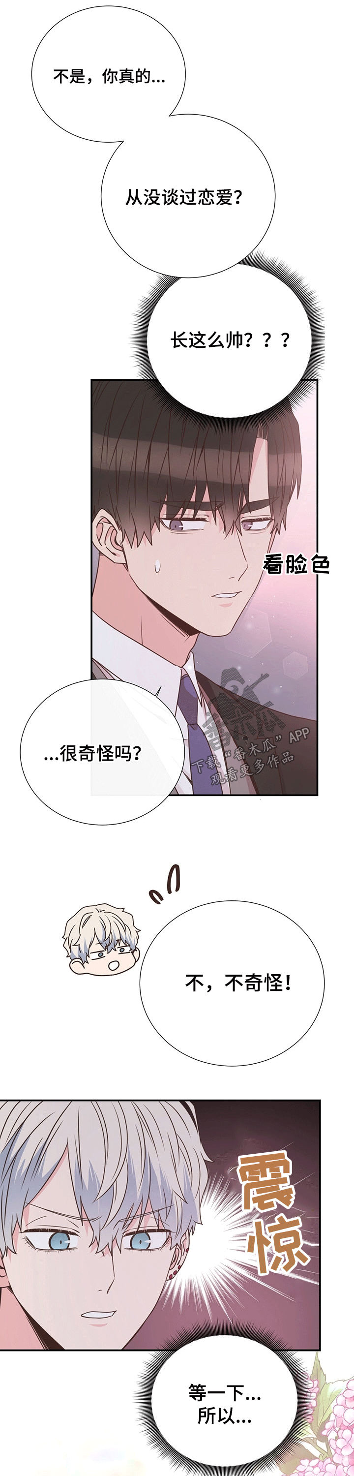 《美妙初恋》第43章计划 第3页