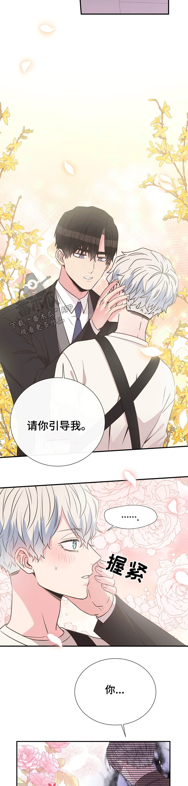 《美妙初恋》第43章计划 第5页