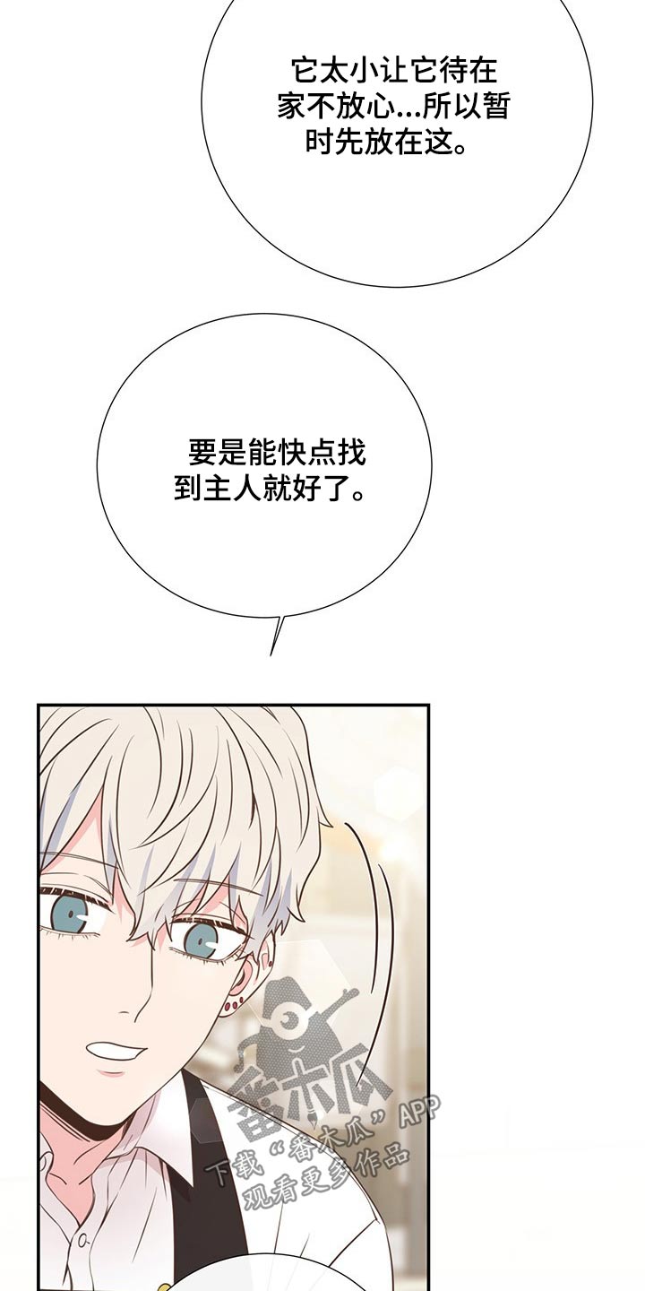 《美妙初恋》第51章回国 第10页