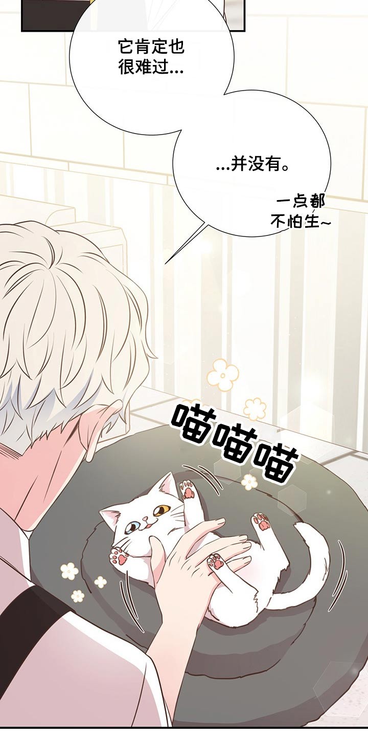《美妙初恋》第51章回国 第11页