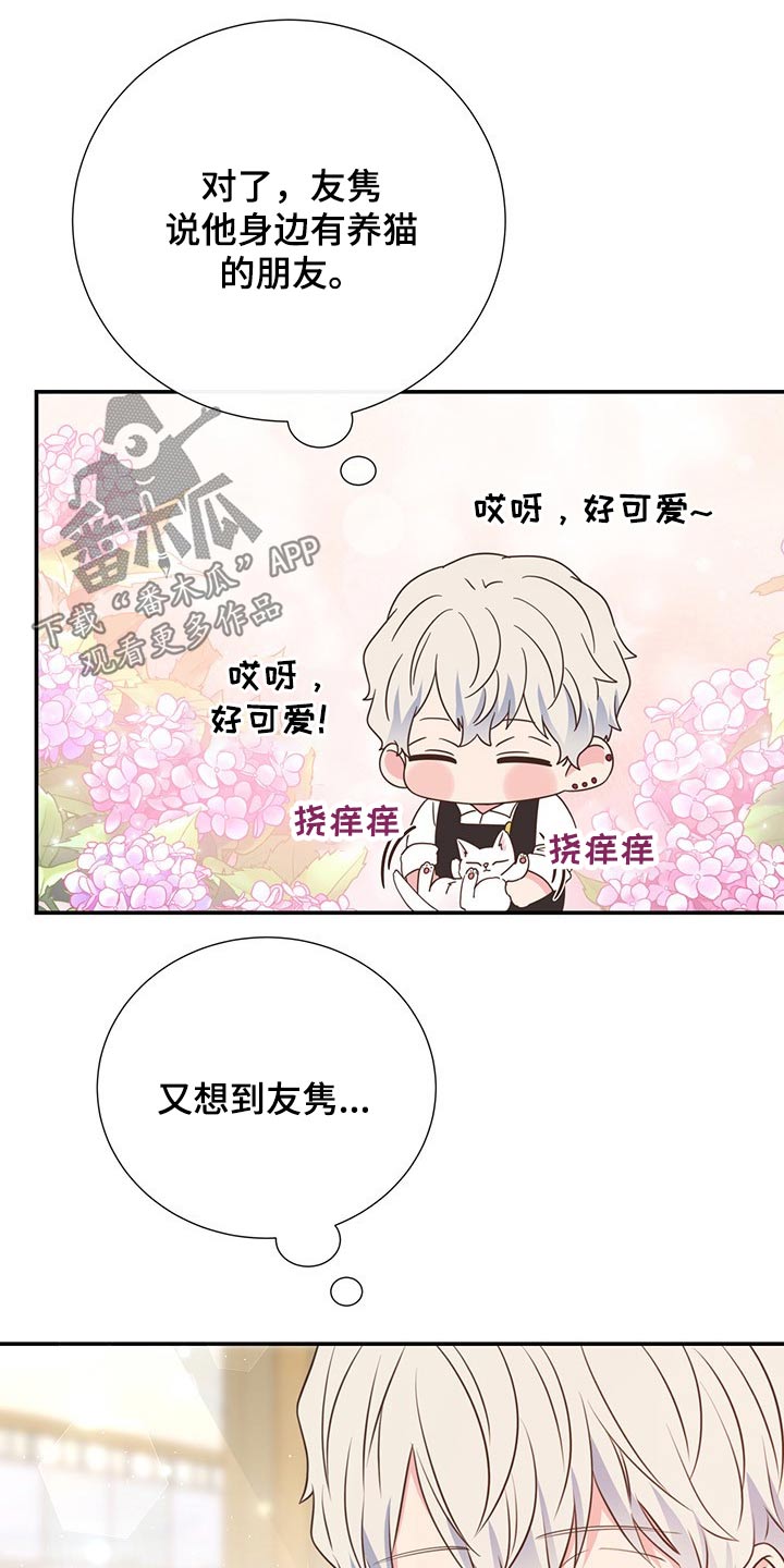 《美妙初恋》第51章回国 第12页