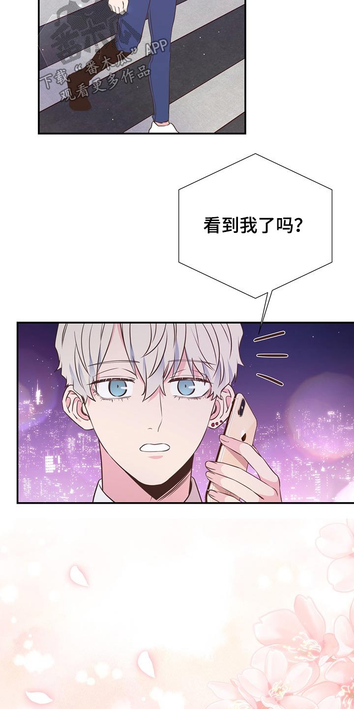 《美妙初恋》第51章回国 第18页