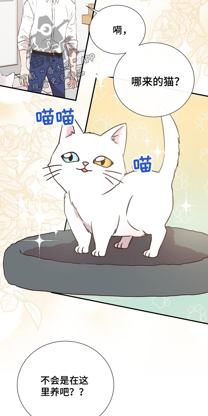 《美妙初恋》第51章回国 第5页