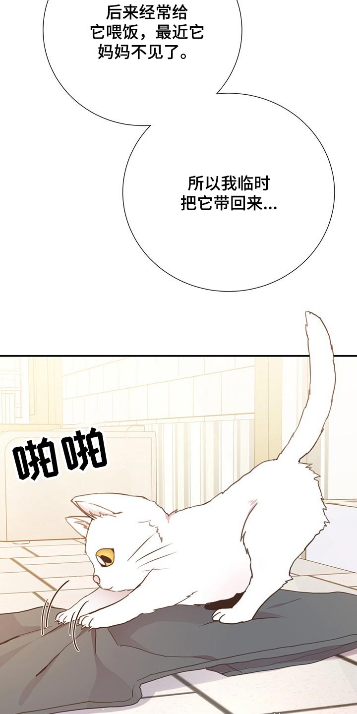 《美妙初恋》第51章回国 第7页
