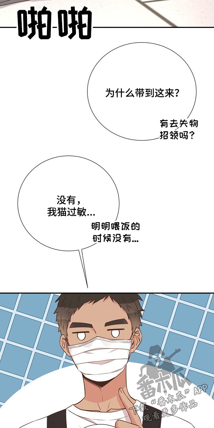 《美妙初恋》第51章回国 第8页