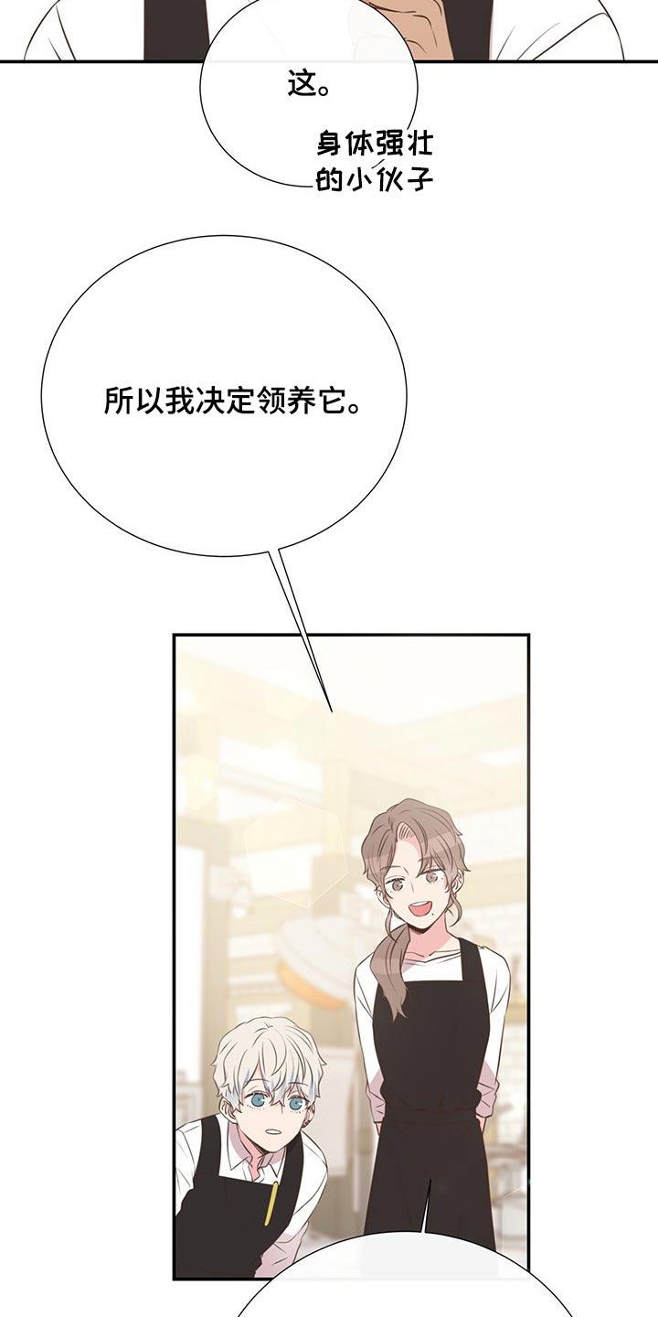 《美妙初恋》第51章回国 第9页