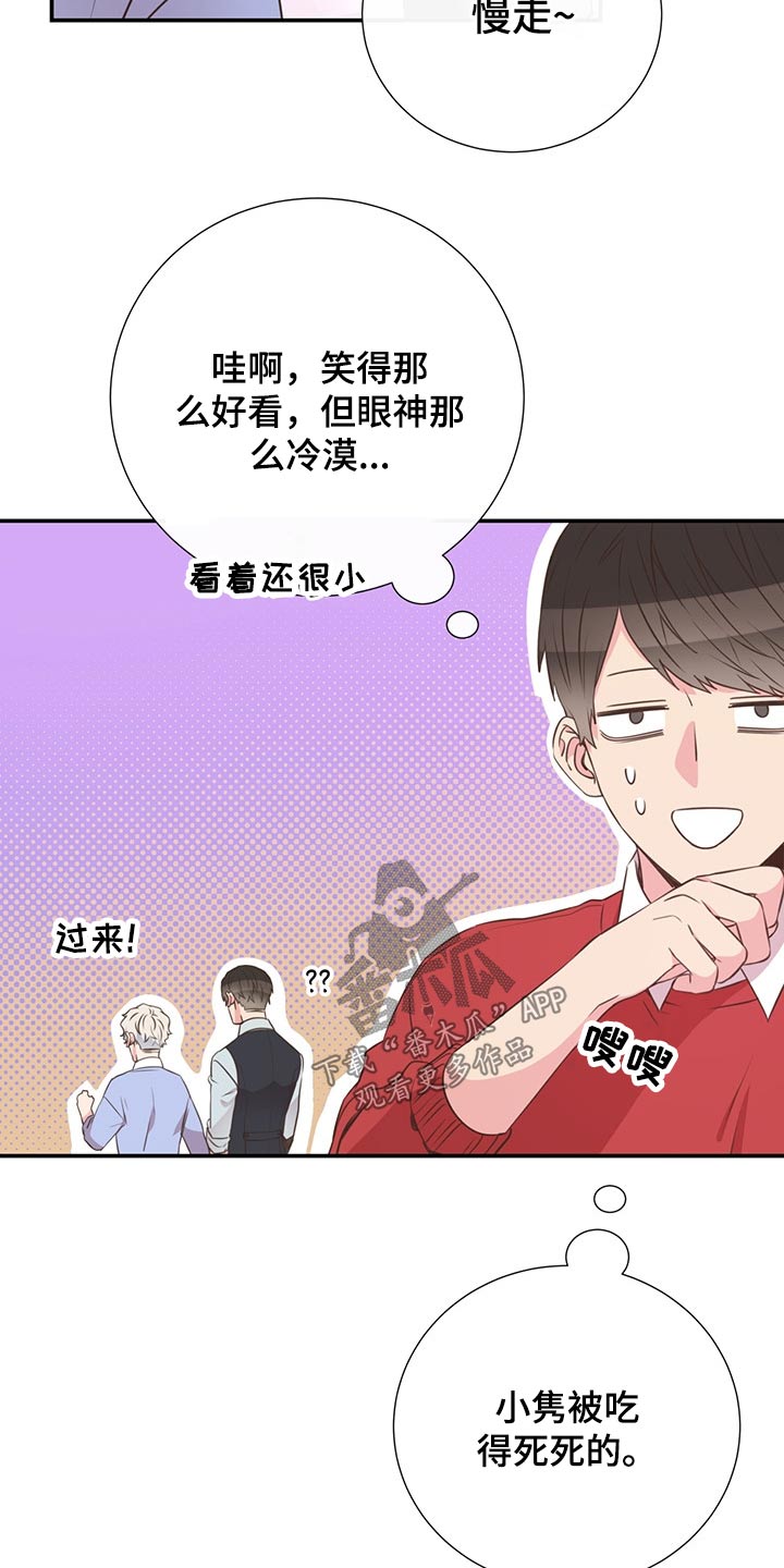 《美妙初恋》第52章小名 第13页