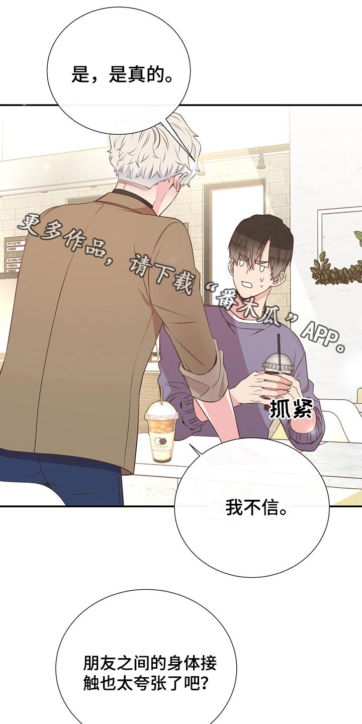 《美妙初恋》第54章碰面 第1页
