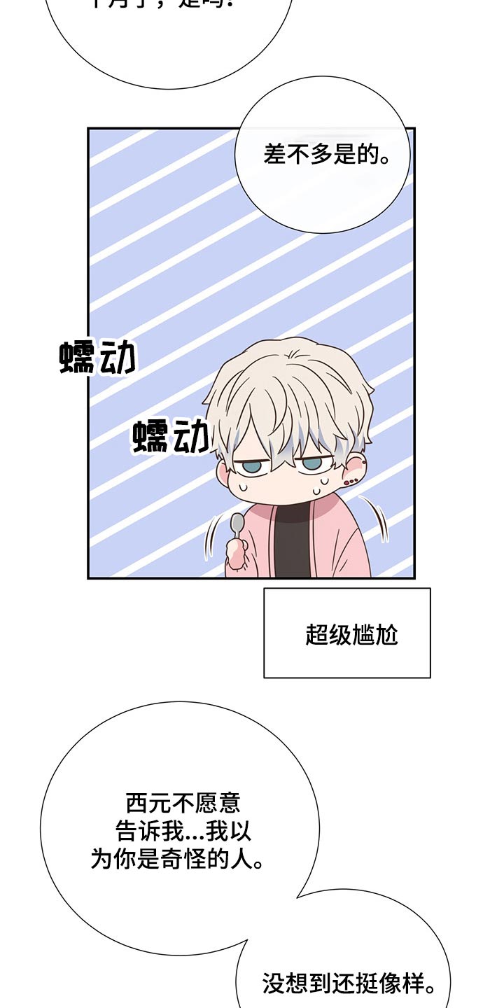 《美妙初恋》第55章质问 第13页