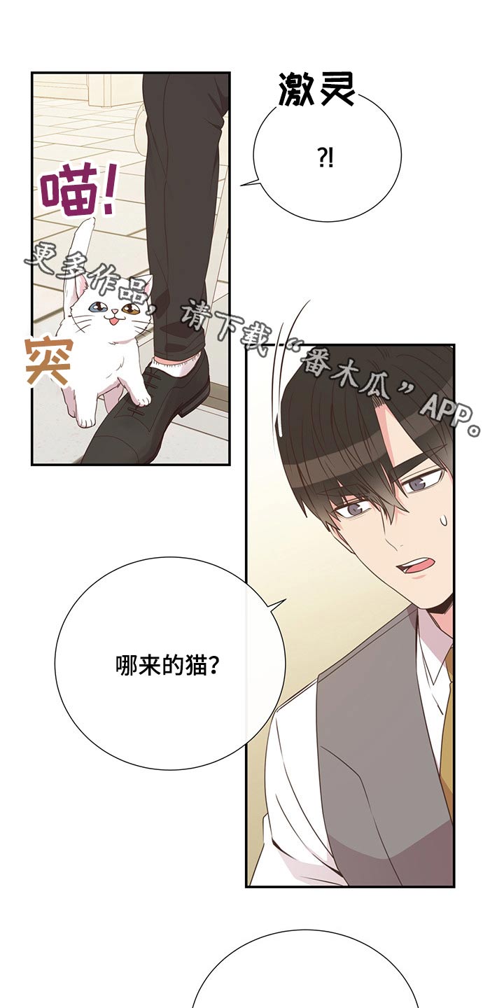 《美妙初恋》第55章质问 第1页