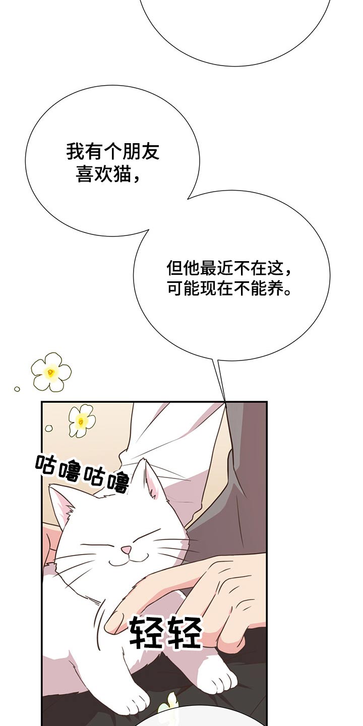 《美妙初恋》第55章质问 第3页