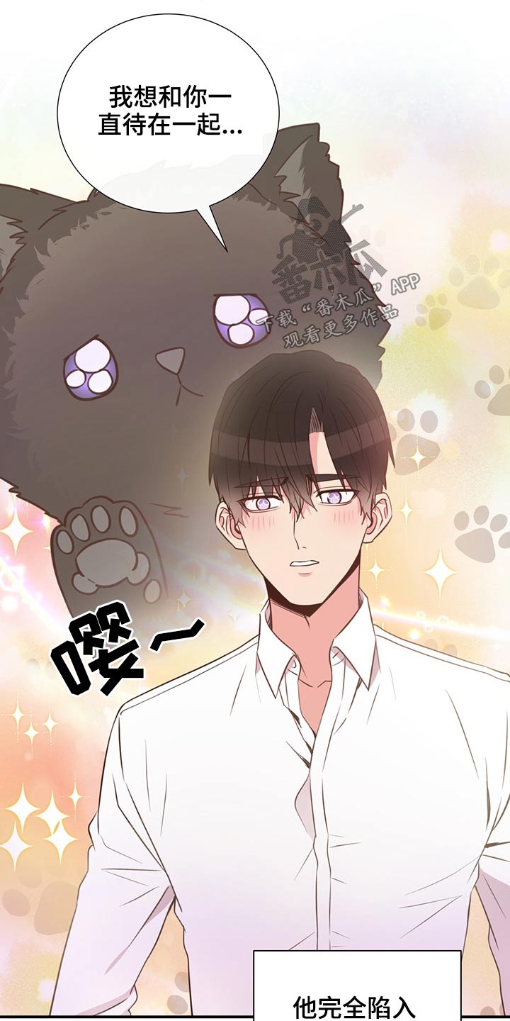 《美妙初恋》第60章猫咪 第11页