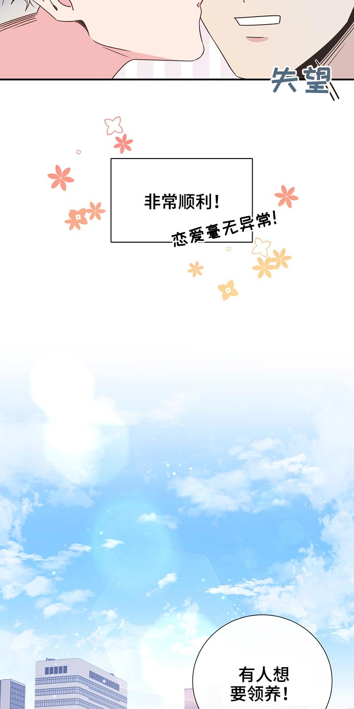 《美妙初恋》第60章猫咪 第14页