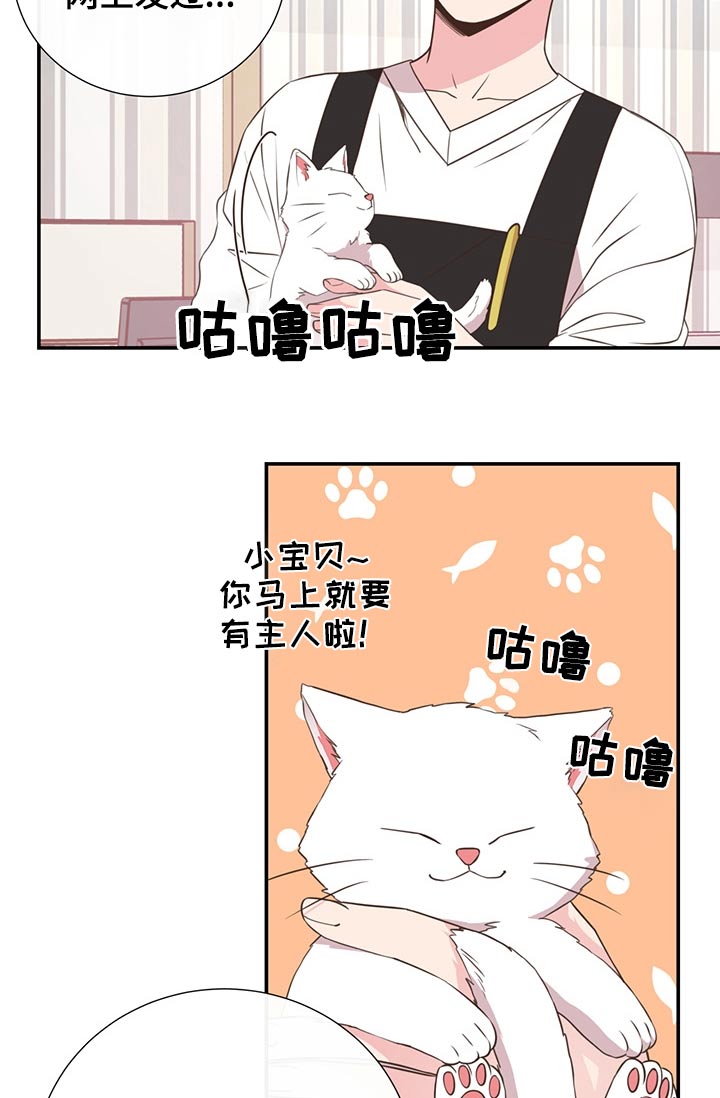 《美妙初恋》第60章猫咪 第16页