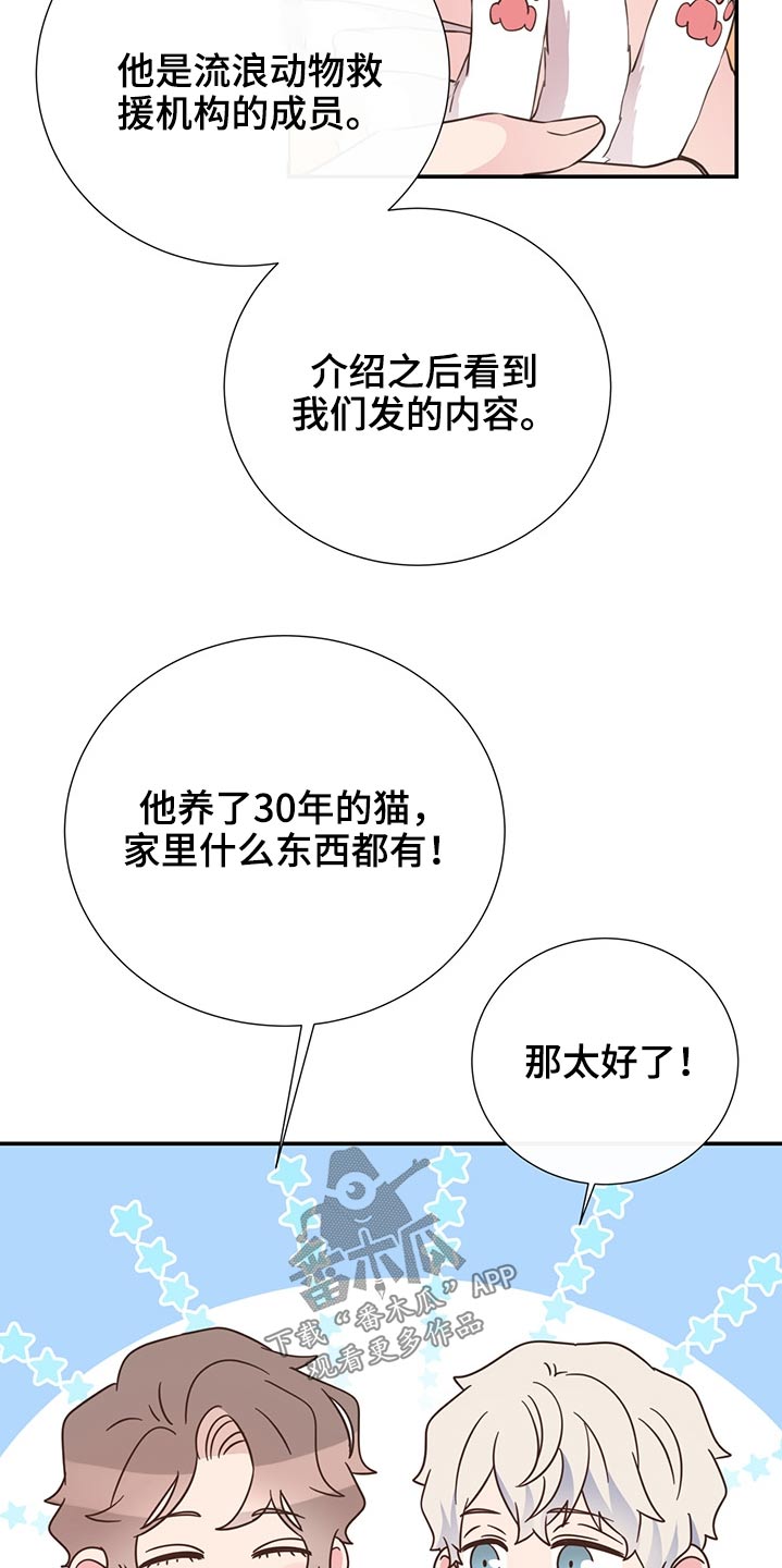 《美妙初恋》第60章猫咪 第17页