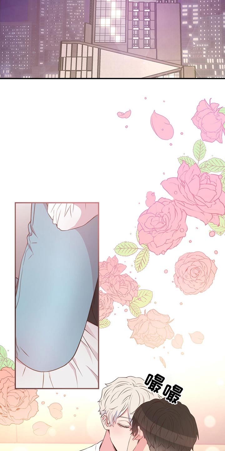 《美妙初恋》第60章猫咪 第2页