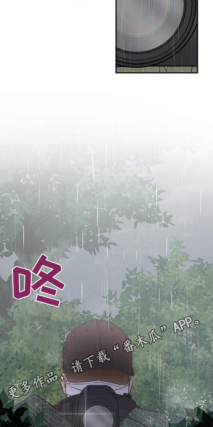 《美妙初恋》第63章借伞 第25页