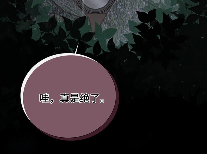 《美妙初恋》第63章借伞 第26页