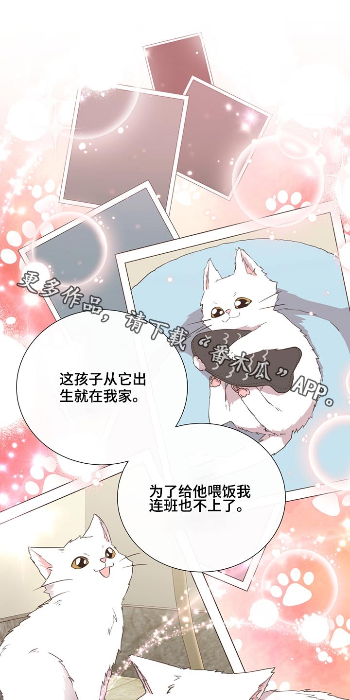 《美妙初恋》第62章不是我的问题 第1页