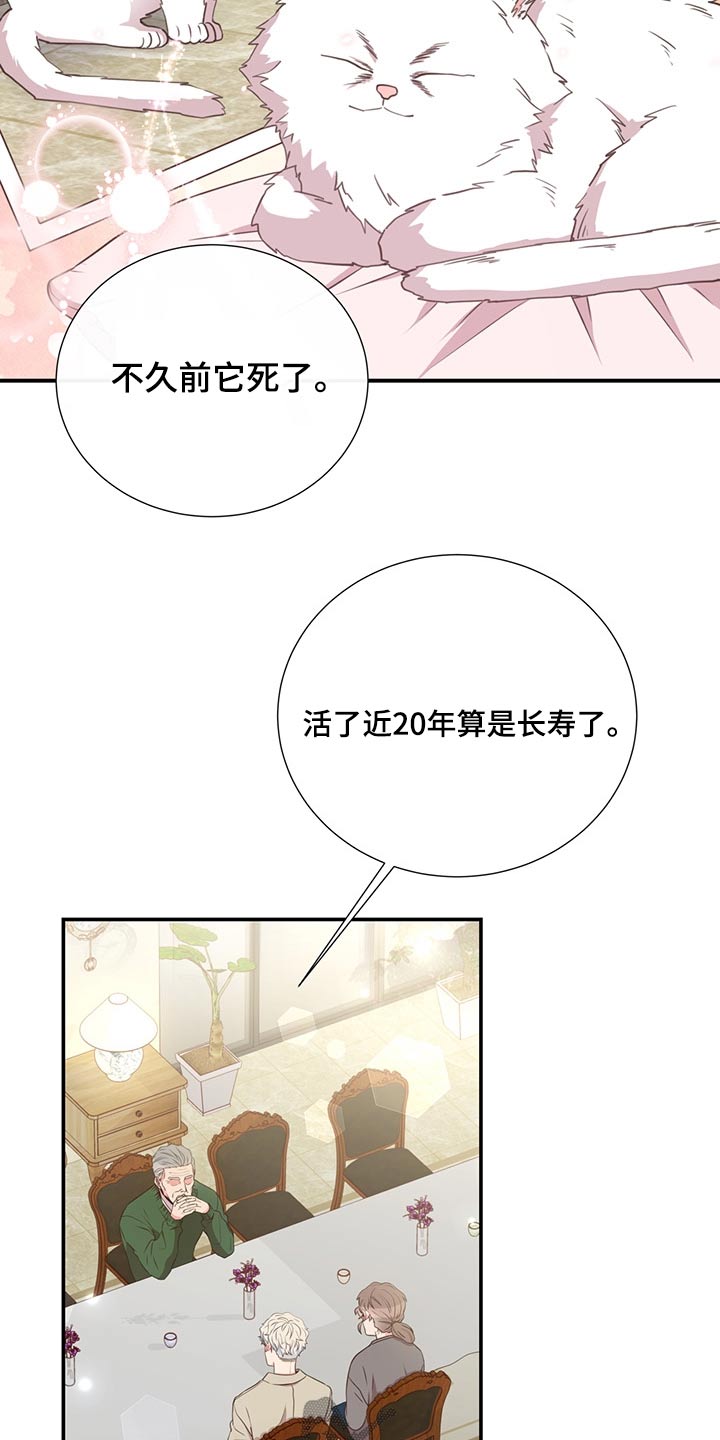 《美妙初恋》第62章不是我的问题 第2页