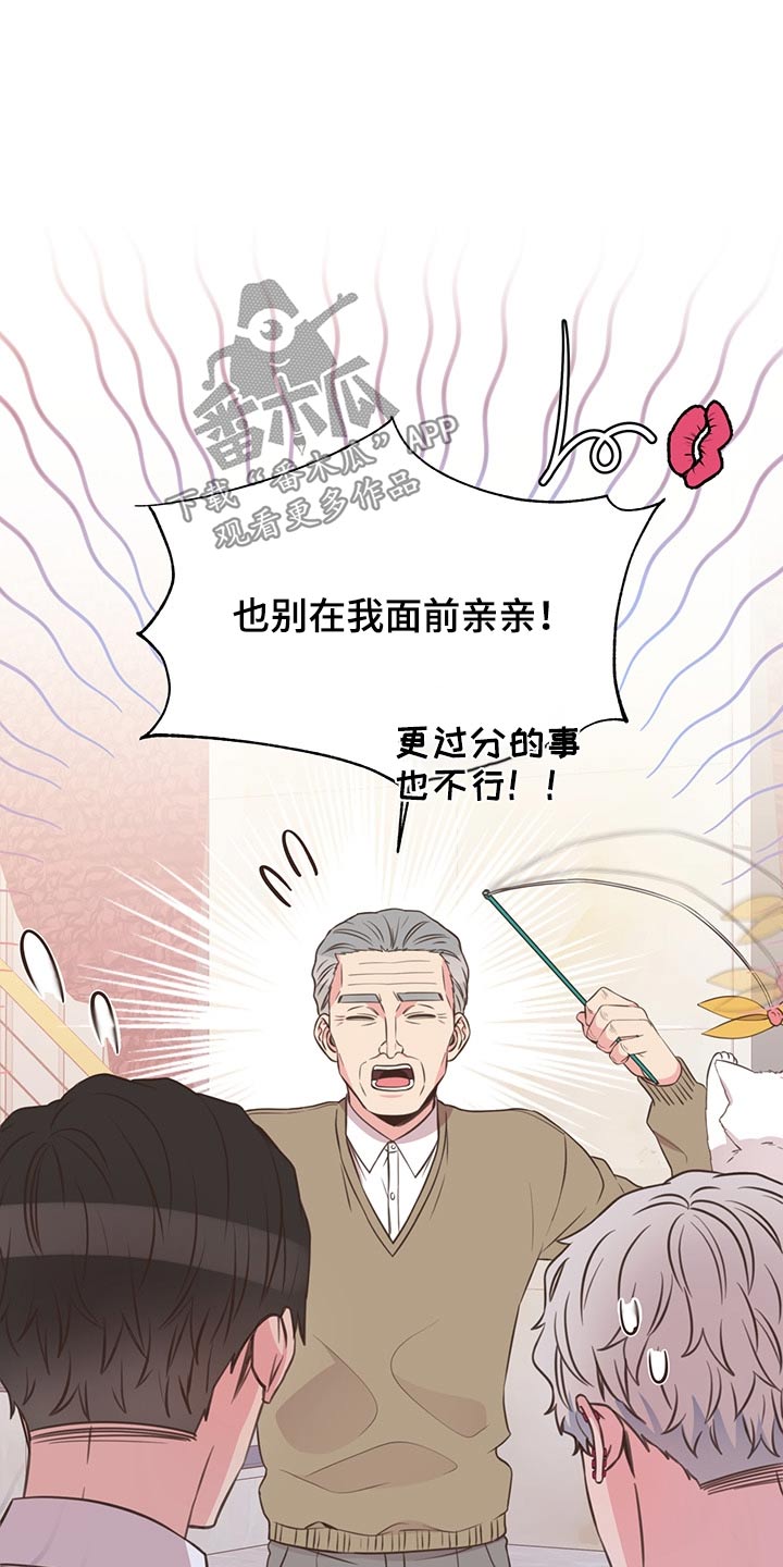 《美妙初恋》第64章不想去 第16页