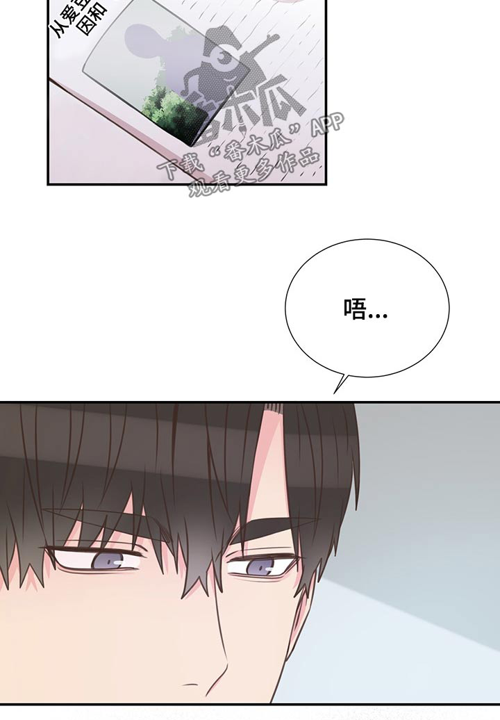 《美妙初恋》第64章不想去 第24页