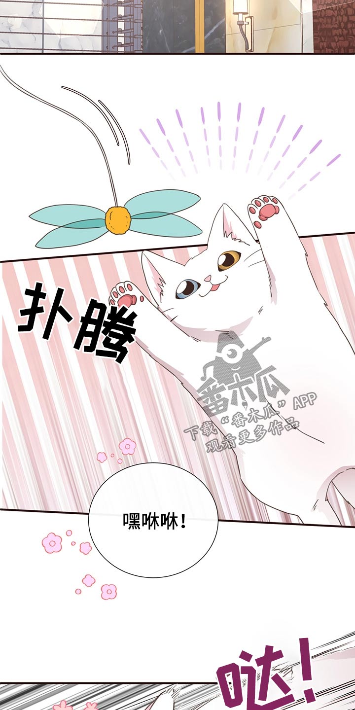 《美妙初恋》第64章不想去 第5页