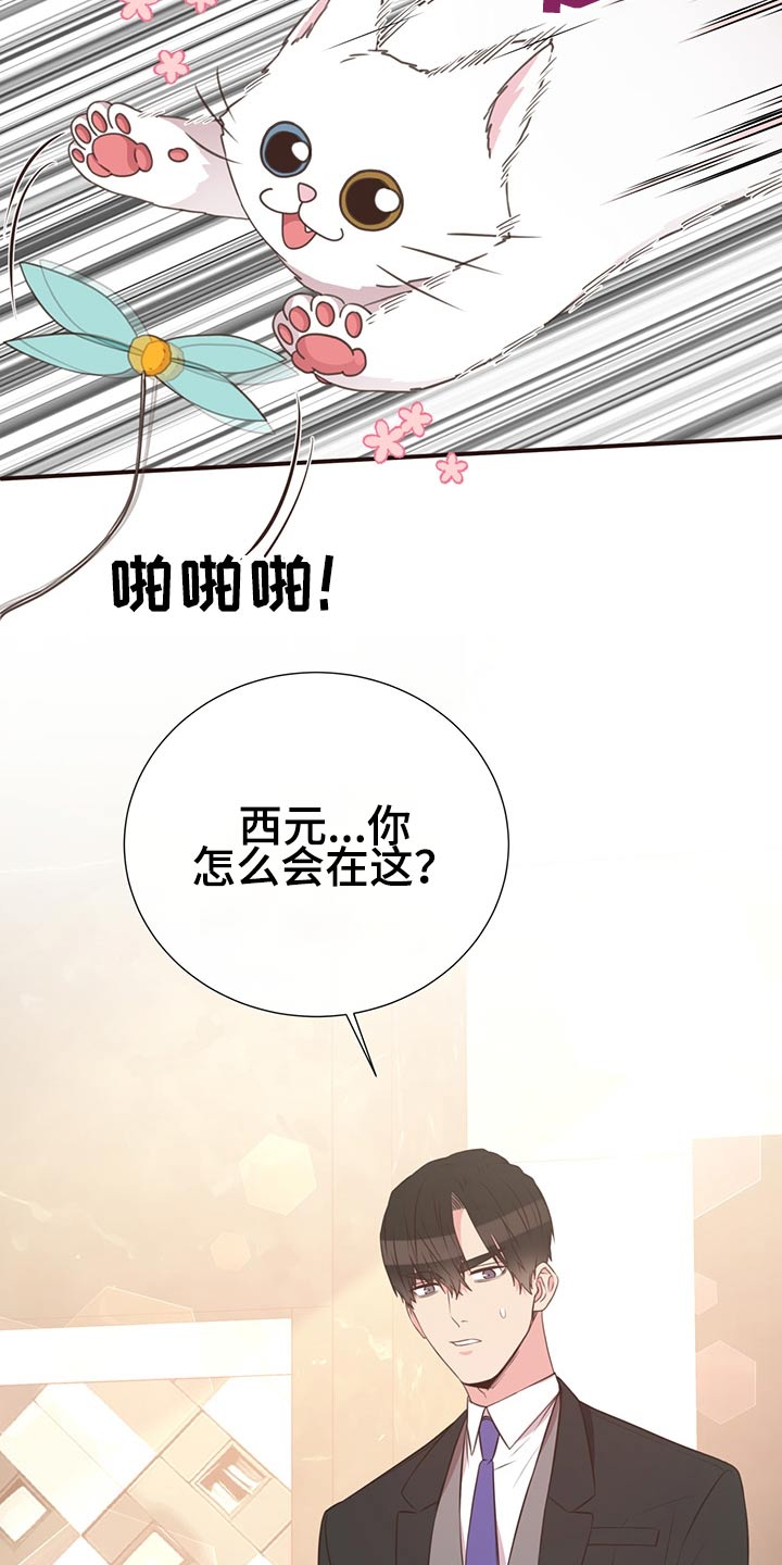 《美妙初恋》第64章不想去 第6页