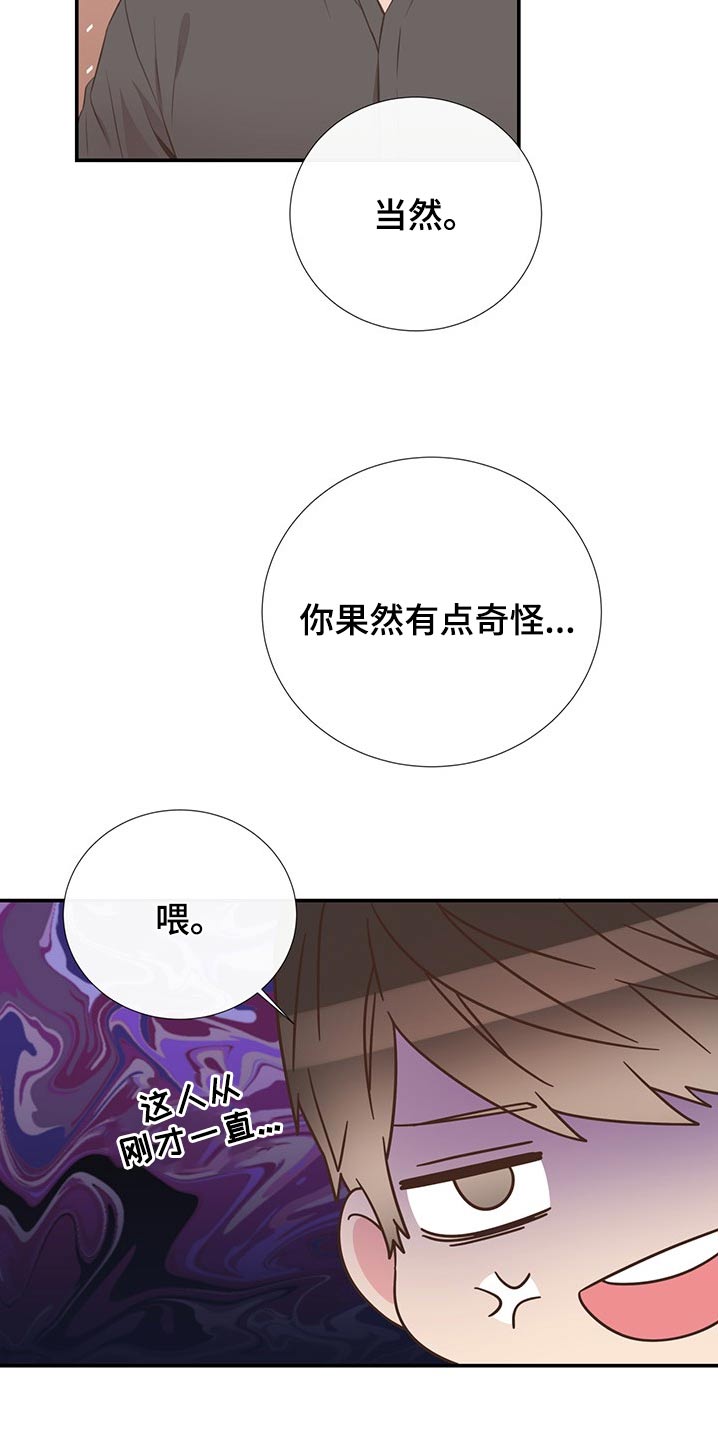 《美妙初恋》第78章回国 第13页