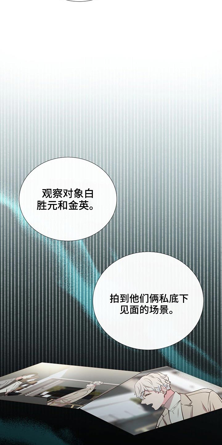 《美妙初恋》第83章见面 第15页