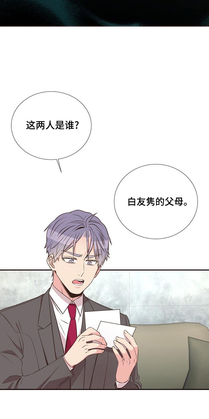《美妙初恋》第83章见面 第16页