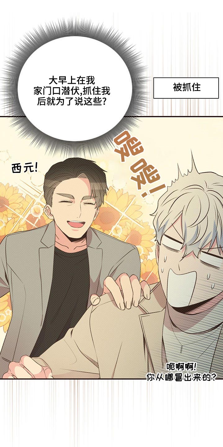 《美妙初恋》第83章见面 第5页