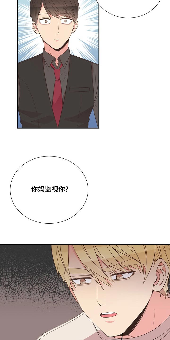 《美妙初恋》第87章交谈 第14页