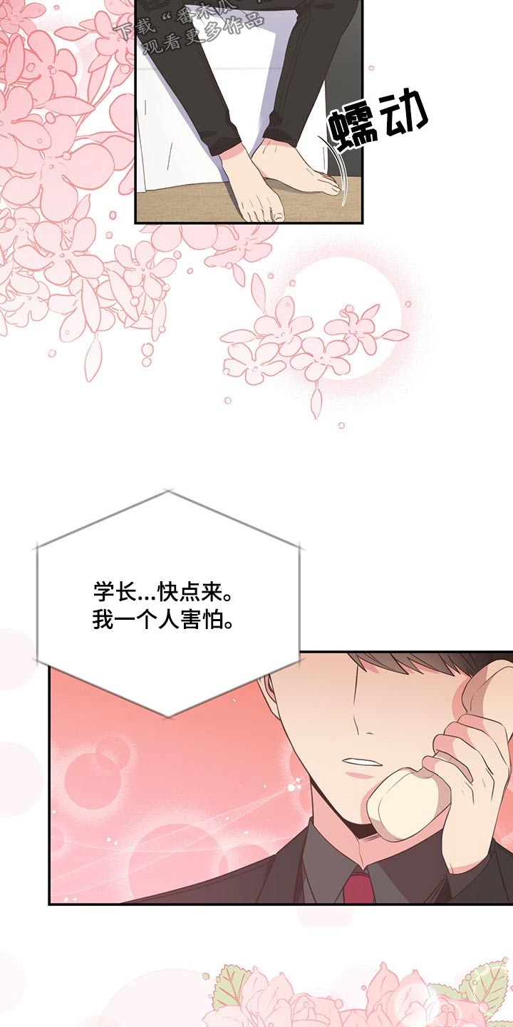 《美妙初恋》第87章交谈 第5页