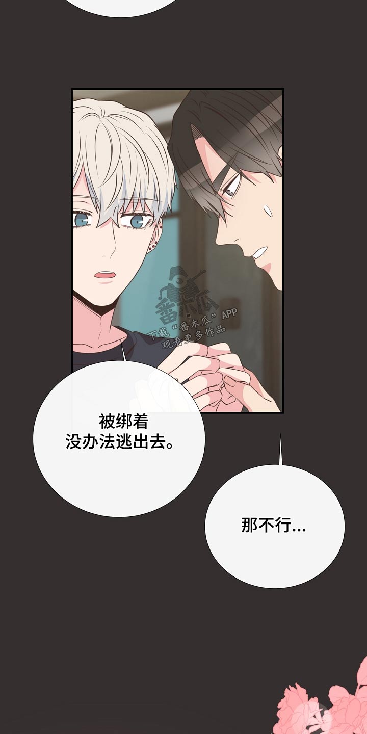 《美妙初恋》第91章挣脱 第12页