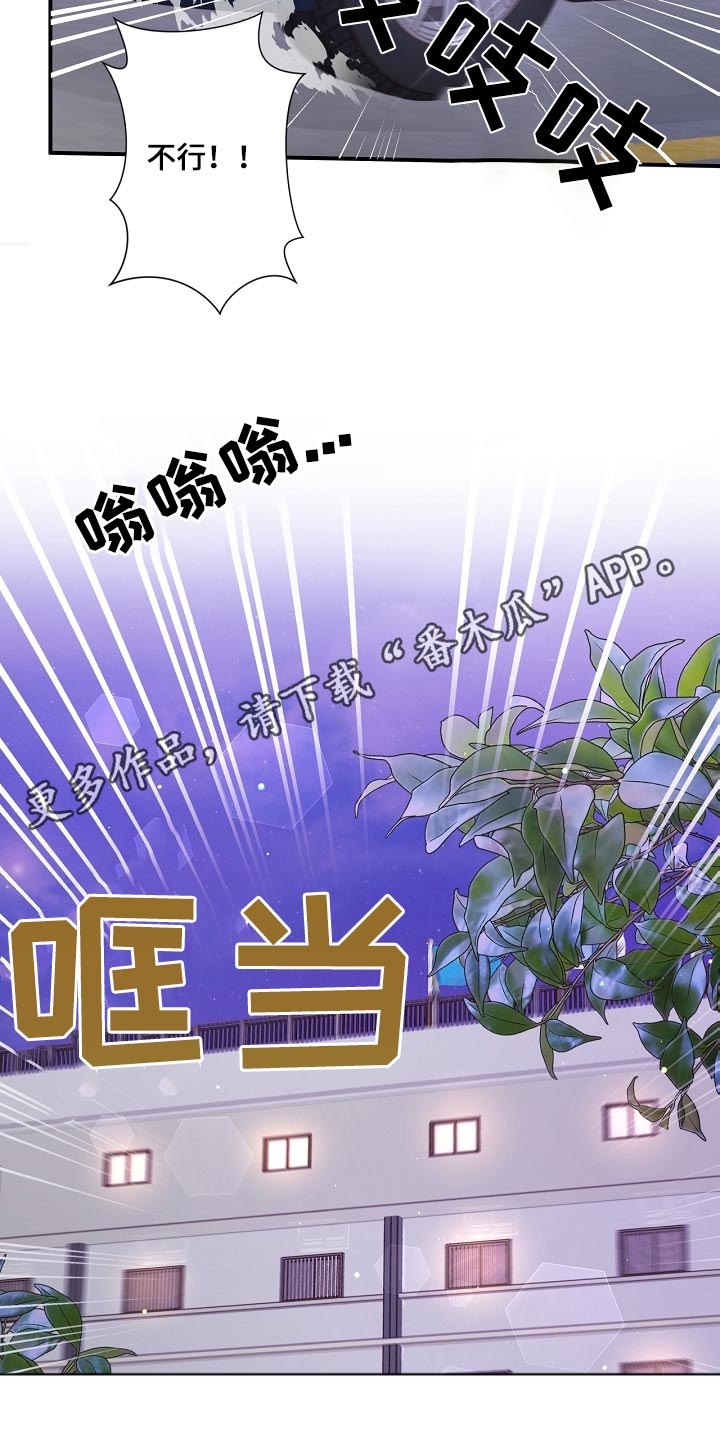 《美妙初恋》第93章警察局 第24页