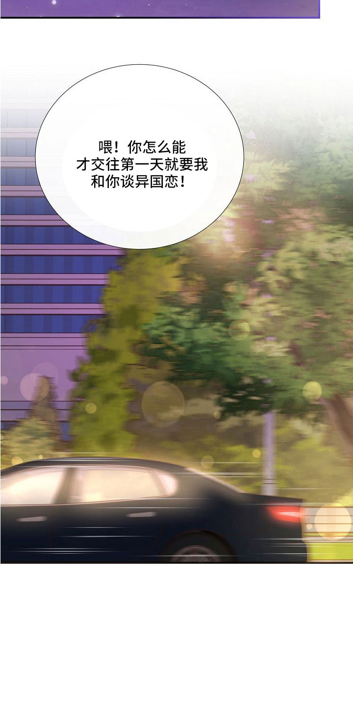 《美妙初恋》第96章异国恋 第15页
