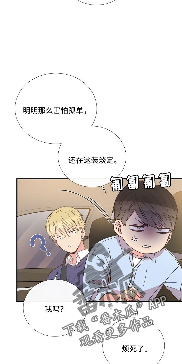 《美妙初恋》第96章异国恋 第27页