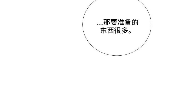 《美妙初恋》第96章异国恋 第30页