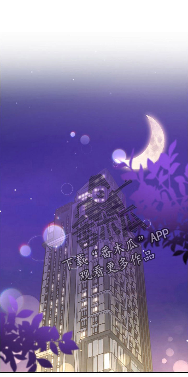 《美妙初恋》第97章出事别恨我 第12页