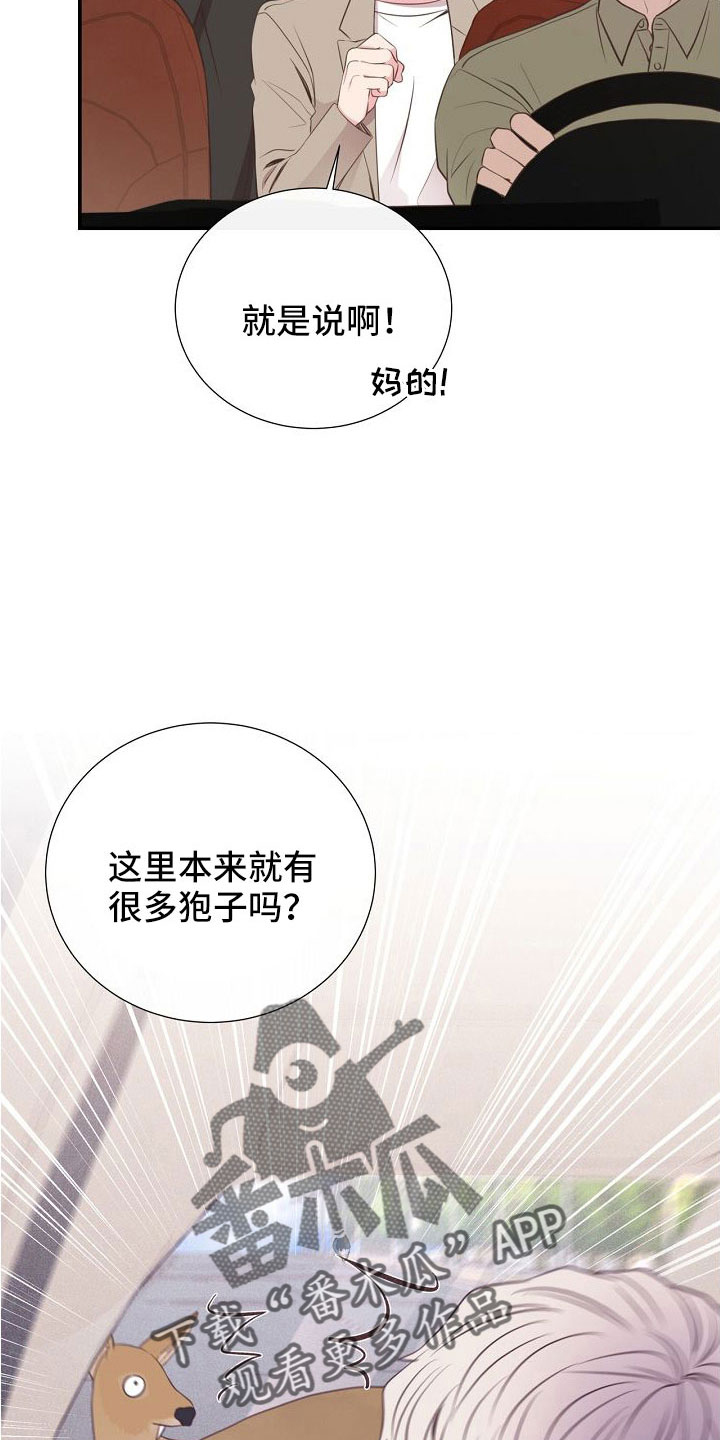 《美妙初恋》第97章出事别恨我 第31页