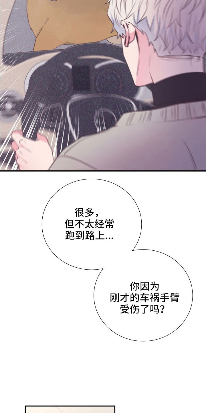 《美妙初恋》第97章出事别恨我 第32页