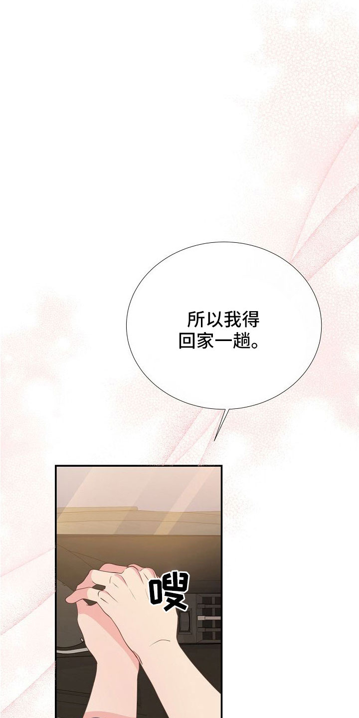 《美妙初恋》第97章出事别恨我 第3页