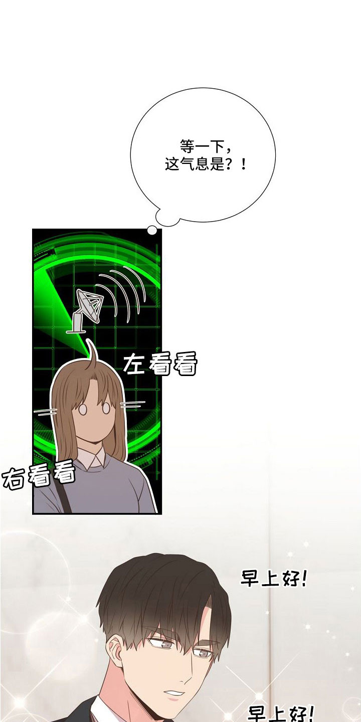 《美妙初恋》第101章你疯了吗 第11页