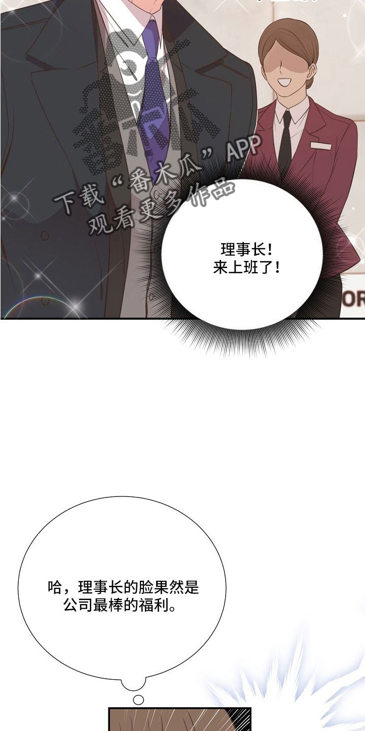 《美妙初恋》第101章你疯了吗 第12页