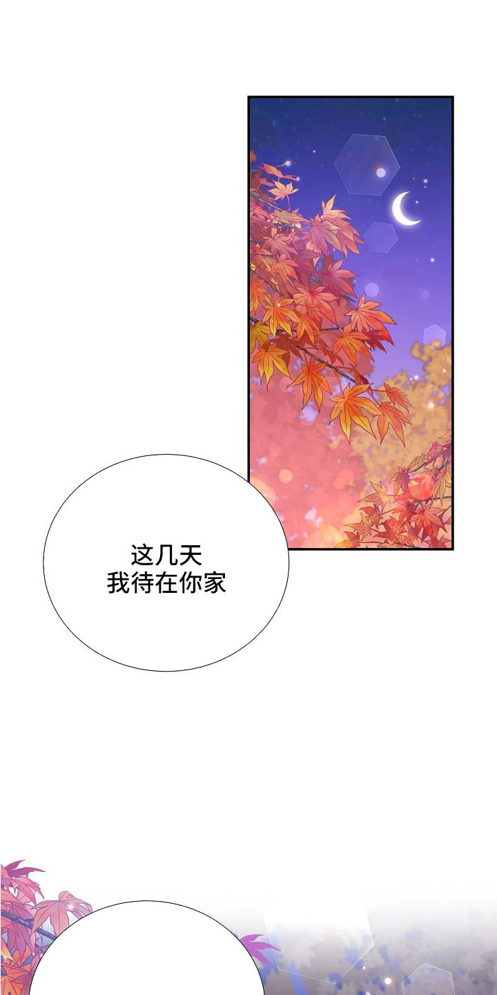 《美妙初恋》第101章你疯了吗 第2页