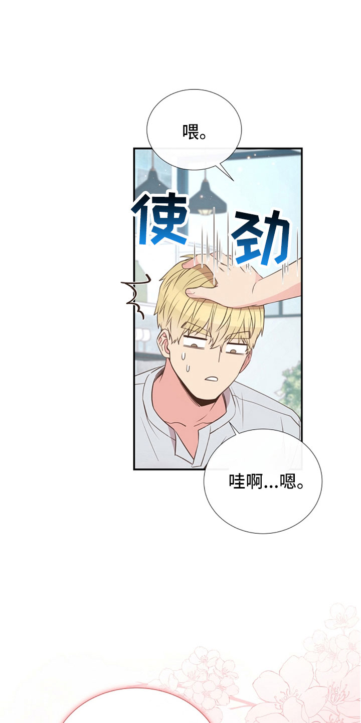 《美妙初恋》第105章我也爱你 第23页