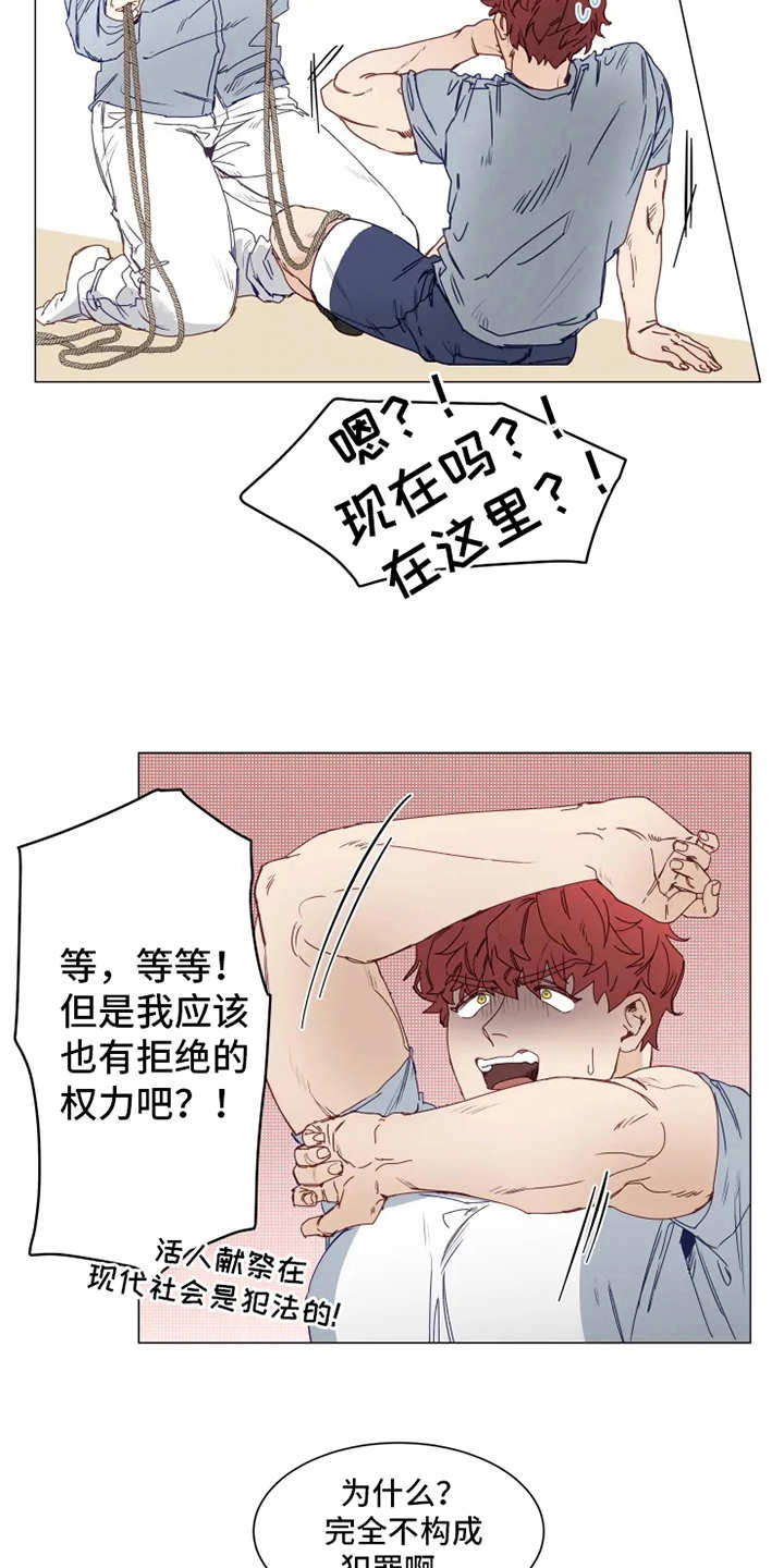 《神的祭品先生》第2章人类文化 第15页