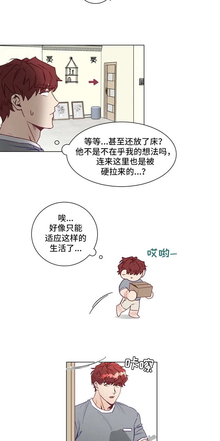 《神的祭品先生》第4章厨艺 第3页