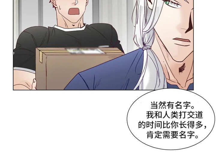 《神的祭品先生》第9章礼物 第6页